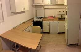 Apartament 1 camera, panorama deosebita, zona Parang