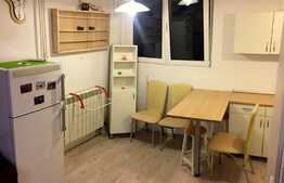 Apartament 1 camera, panorama deosebita, zona Parang