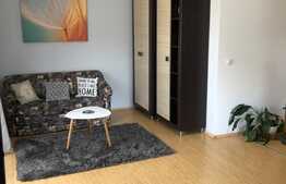 Apartament 2 camere, 56 mp, zona Teilor