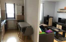 Apartament 2 camere, 56 mp, zona Teilor