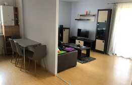 Apartament 2 camere, 56 mp, zona Teilor