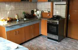 Casa individuala pe un singur nivel, Dambul Rotund