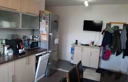 Apartament 2 camere, decomandat, parcare, zona parcului Colina