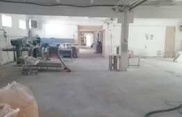 Hala industriala, 1345 mp, inchiriere pe nivele, recent renovata