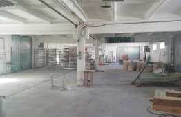 Hala industriala, 1345 mp, inchiriere pe nivele, recent renovata