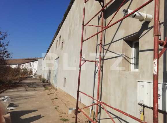 Spațiu industrial de închiriat Baciu - 42478SII | BLITZ Cluj-Napoca | Poza5