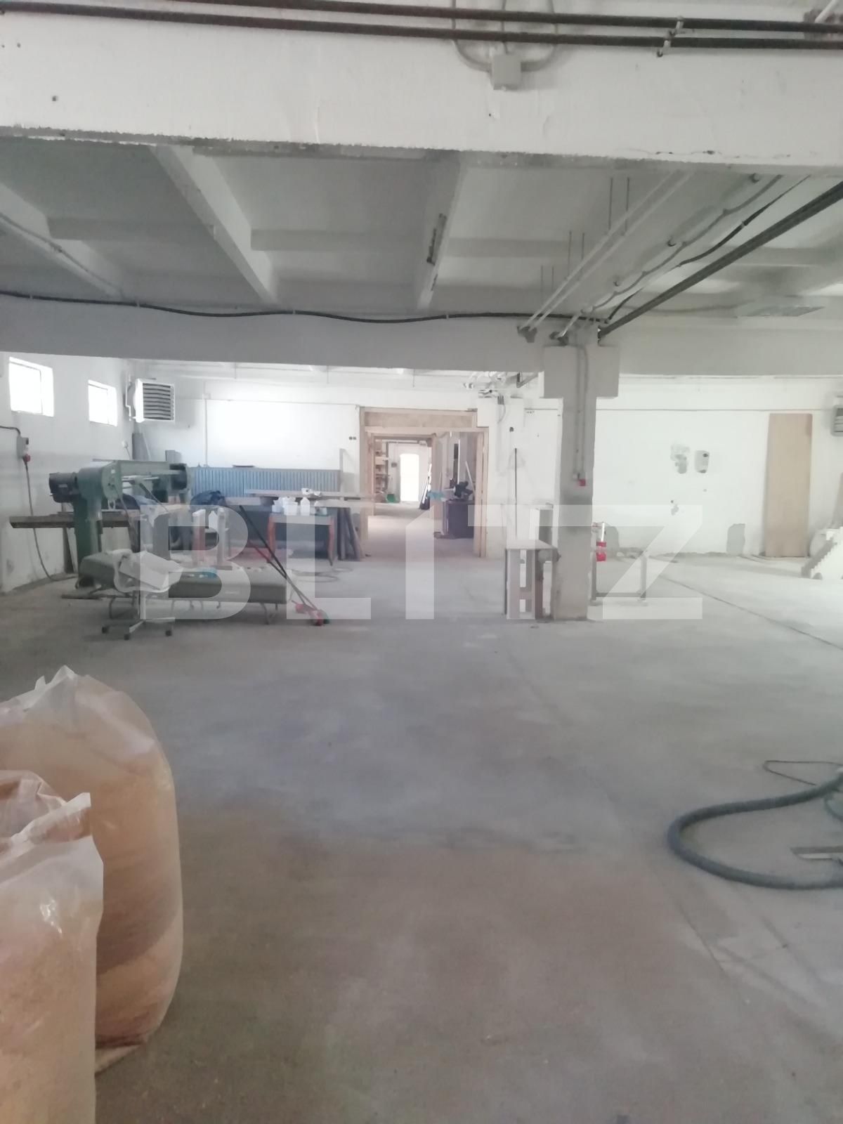 Spațiu industrial de închiriat Baciu - 42478SII | BLITZ Cluj-Napoca | Poza4