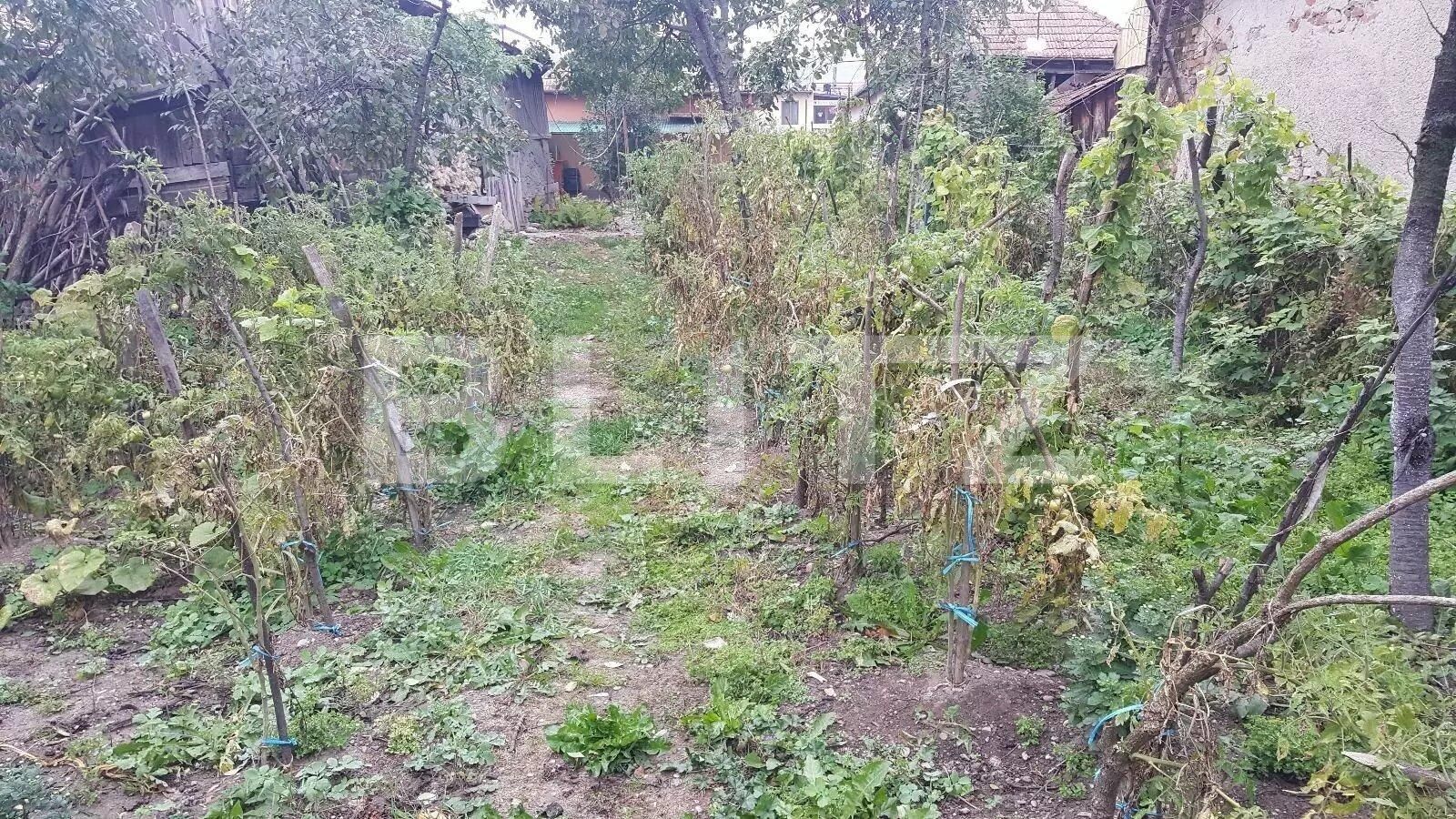 Teren de vânzare Floreşti - 42484TV | BLITZ Cluj-Napoca | Poza2