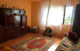 Casa si teren intravilan, parcelabil, 4300 mp, zona Jucu