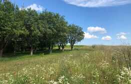 Casa si teren intravilan, parcelabil, 4300 mp, zona Jucu