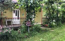 Casa si teren intravilan, parcelabil, 4300 mp, zona Jucu