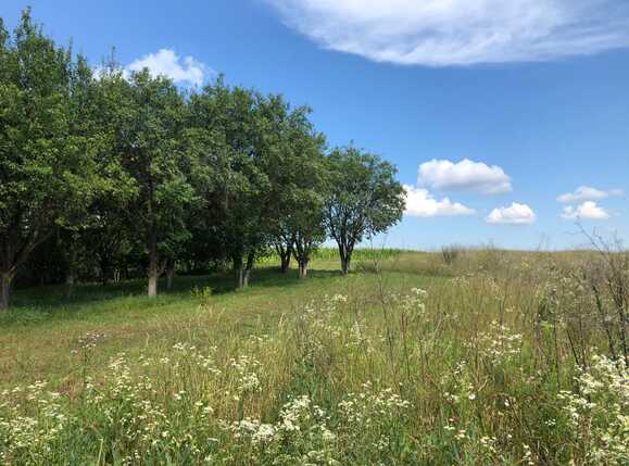 Teren de vânzare Exterior Est - 42486TV | BLITZ Cluj-Napoca | Poza5