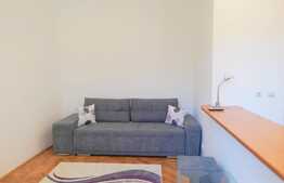 Garsoniera 30 mp, recent renovat, zona Piata Mihai Viteazu