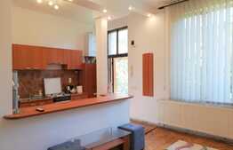 Garsoniera 30 mp, recent renovat, zona Piata Mihai Viteazu