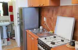 Garsoniera 30 mp, recent renovat, zona Piata Mihai Viteazu