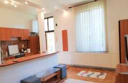 Garsoniera 30 mp, recent renovat, zona Piata Mihai Viteazu