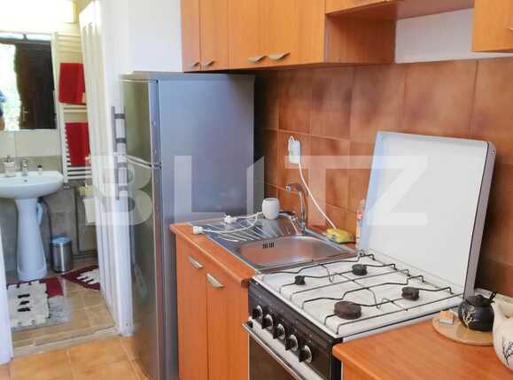 Garsonieră de închiriat Central - 42490AI | BLITZ Cluj-Napoca | Poza6