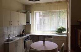 Apartament 1 camera, 43 mp, garaj, prima inchiriere, zona stadion CFR