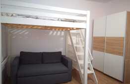 Garsoniera, 30 mp, recent renovat, zona strazii Horea