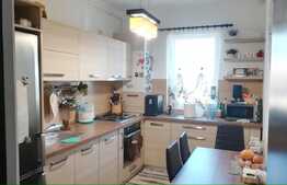 2 camere, decomandat, mobilat modern, 53 mp, zona strazii Alverna. Disponibil din 1 Ianuarie