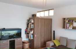 2 camere, decomandat, mobilat modern, 53 mp, zona strazii Alverna. Disponibil din 1 Ianuarie