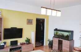 2 camere, decomandat, mobilat modern, 53 mp, zona strazii Alverna. Disponibil din 1 Ianuarie