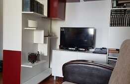 Apartament 1 camera, decomandat, 49 mp, Zona Stejarului