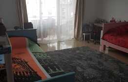 Apartament 1 camera, decomandat, 49 mp, Zona Stejarului