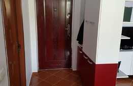 Apartament 1 camera, decomandat, 49 mp, Zona Stejarului