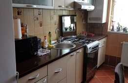 Apartament 1 camera, decomandat, 49 mp, Zona Stejarului