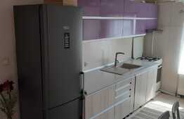 Apartament de 3 camere, 66 mp, mobilat modern, zona strazii Plopilor