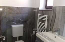 Casa 8 camere, 250 mp utili, 5 parcari, partial mobilat, zona Parcului Colina