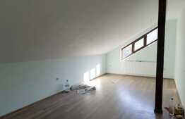 Casa 8 camere, 250 mp utili, 5 parcari, partial mobilat, zona Parcului Colina