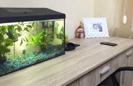 Cauti un apartament modern, la cheie, in care sa nu mai investesti nimic?