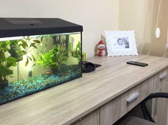 Apartament de vânzare 3 camere Intre Lacuri - 42538AV | BLITZ Cluj-Napoca | Poza9