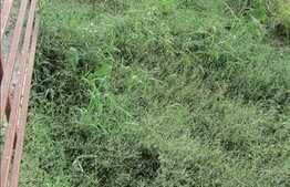 2 camere, semifinisat, 59 mp, cu gradina de 60! Zona usor accesibila!