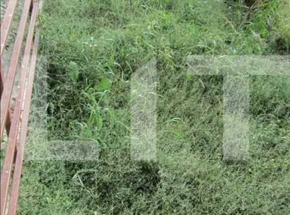 Apartament de vânzare 2 camere Floreşti - 4287AV | BLITZ Cluj-Napoca | Poza6