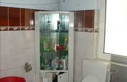 Apartament de vanzare cu 146 mp la 5 minute de Piata Mihai Viteazul