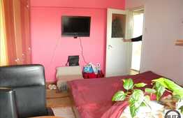 Apartament ideal pentru o familie! 2 camere zona Constantin Brancusi!