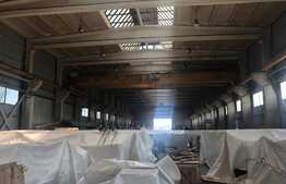 Hala moderna cu 2 poduri rulante functionale pe 10.000 mp teren 