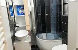 Penthouse 5 camere, 2 nivele,140 mp, 2 terase de 145 mp, totul nou, zona strazii Buna Ziua