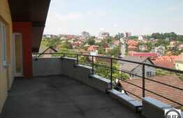 3 cam, 88 mp, Andrei Muresanu!40 mp terasa, Panorama unica!