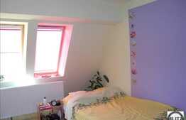 2 camere in zona Somesului, pret de exceptie