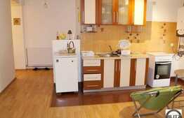 2 camere, 45 mp in imobil NOU, in zona strazii Campului