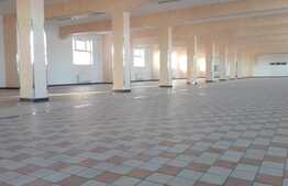 Spatiu 2300 mp in hala cu destinatie mixta