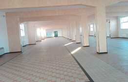 Spatiu 2300 mp in hala cu destinatie mixta