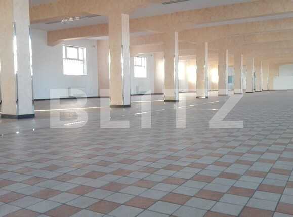 Spațiu industrial de închiriat Bulgaria - 43898SII | BLITZ Cluj-Napoca | Poza1