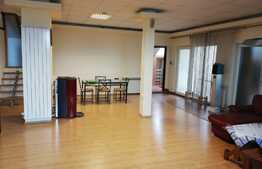 Apartament 4 camere, 170 mp, videoproiector, sistem audio, parcare, zona strazii Traian Vuia