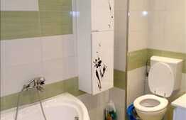 Apartament 2 camere in zona Stejarului, partial mobilat