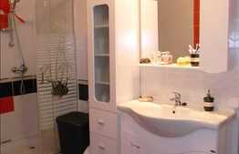 Apartament cu 2 camere 53 mp, zona Tineretului! Partial mobilat!